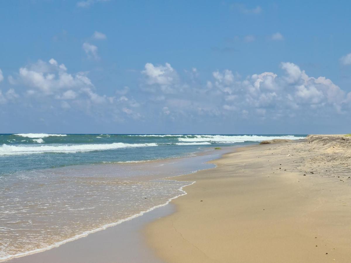 Ocean Vibe Otel Arugam Bay Dış mekan fotoğraf