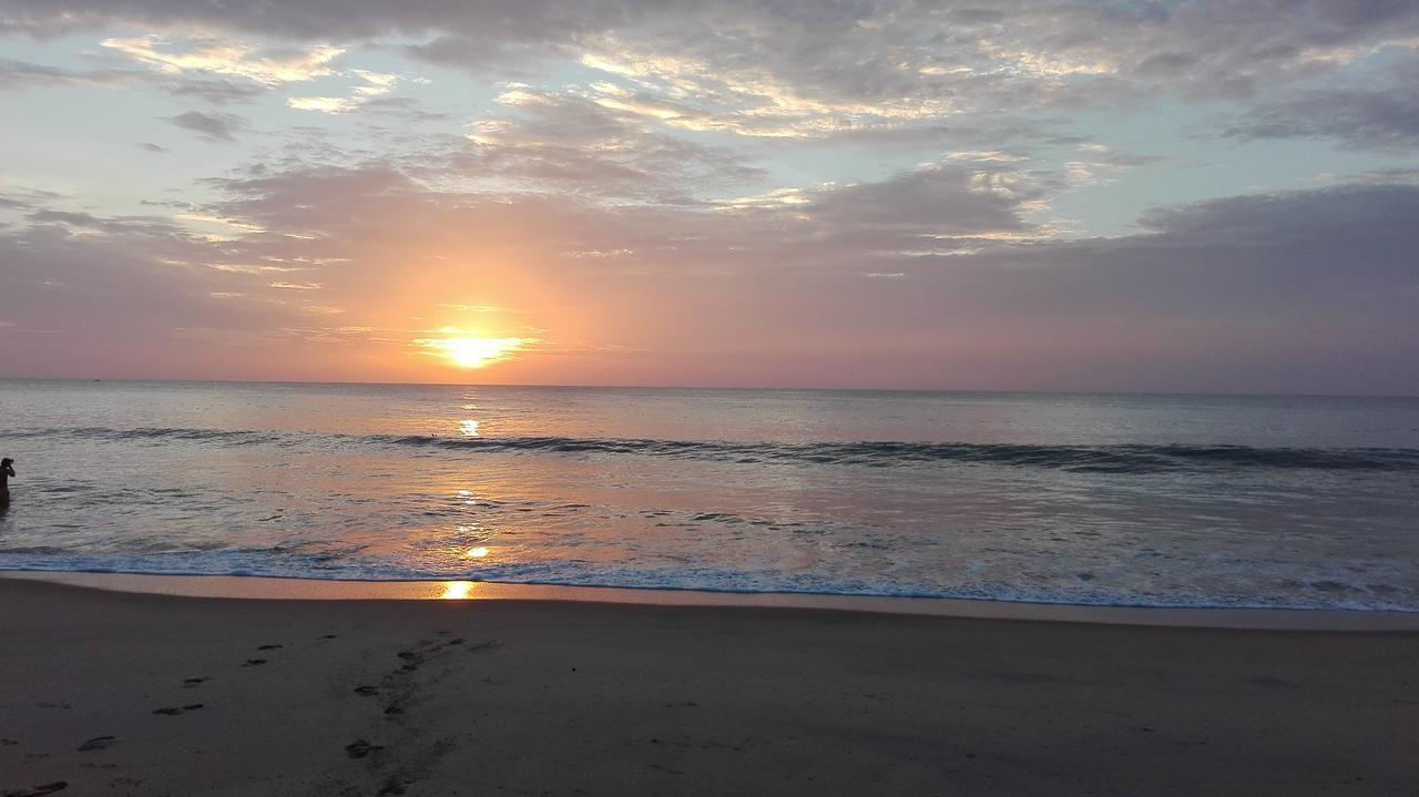 Ocean Vibe Otel Arugam Bay Dış mekan fotoğraf